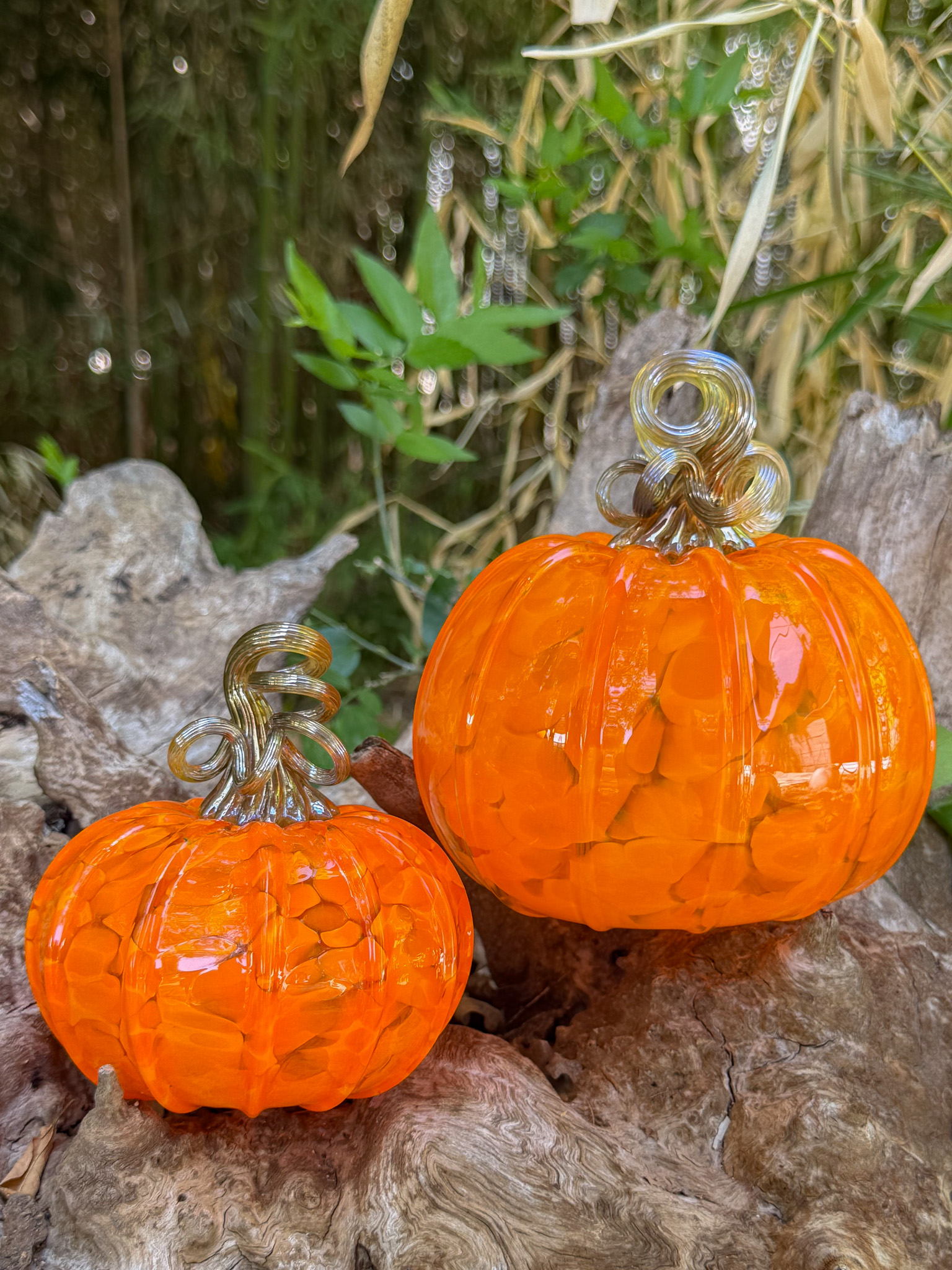 Pumpkin glassblowing workshop at Salado Glassworks