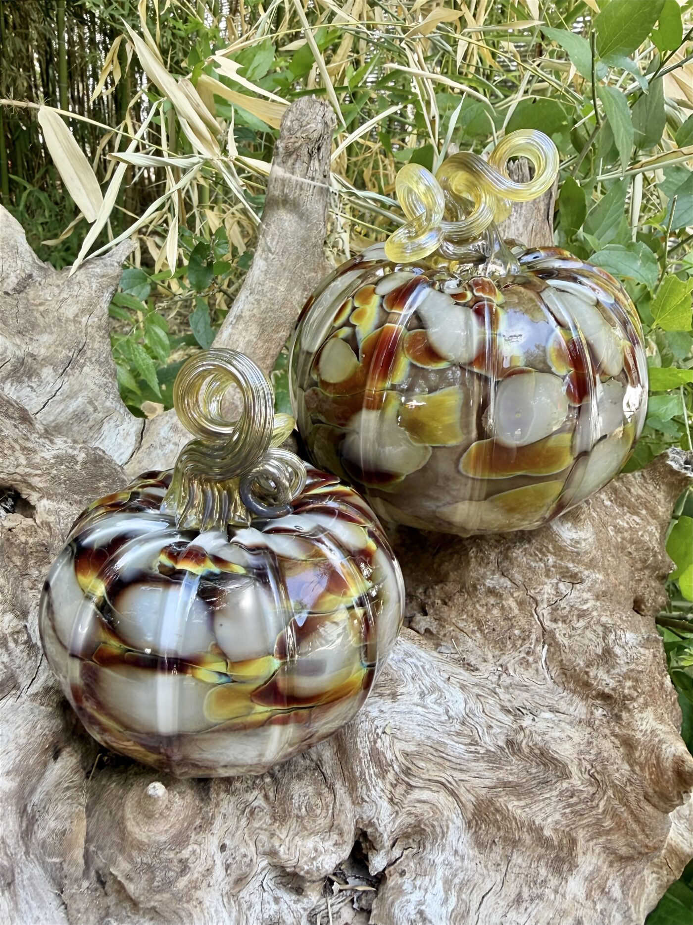 Handblown glass pumpkins from Salado Glassworks